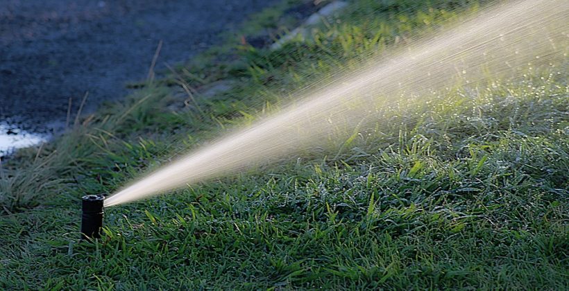 Piccola guida alle tecniche per l’irrigazione